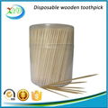 Wooden toothpick with dispensor 3