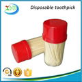 Wooden toothpick with dispensor 5