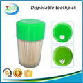 Bulk wooden toothpick  5