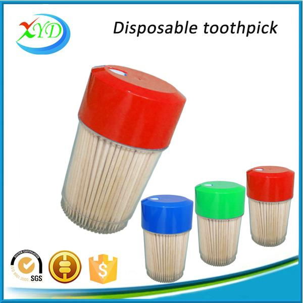 Bulk wooden toothpick with plastic cup