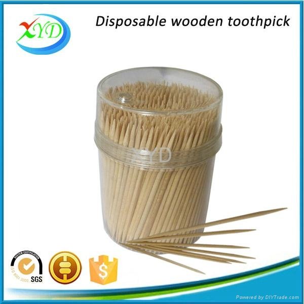 Bulk wooden toothpick with holder 2
