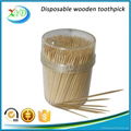 Bulk wooden toothpick with holder 2