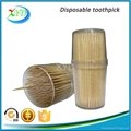 Bulk wooden toothpick with holder 3