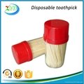 Bulk wooden toothpick with holder 4