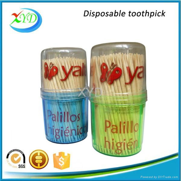 Bamboo toothpick with holder 3