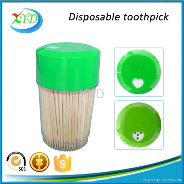 Bamboo toothpick with holder 5