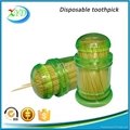 Bamboo toothpick with holder