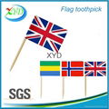 Party toothpick for flag picks 1