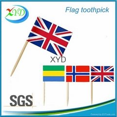 Party toothpick for flag picks