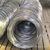 AISI 316l/sus316L/din 1.4404 Stainless Steel Wire 2