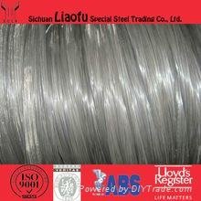 AISI 316l/sus316L/din 1.4404 Stainless Steel Wire 5