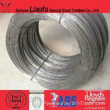 AISI 316l/sus316L/din 1.4404 Stainless Steel Wire 4