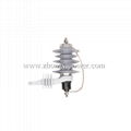 HV surge arresters 1