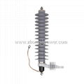 HV surge arresters 3