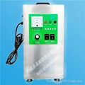 Guangzhou top quality swimming pool water disinfection ozone equipment 2