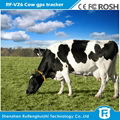 mini solar powered cow gps tracker 1