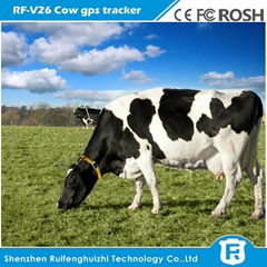 mini solar powered cow gps tracker