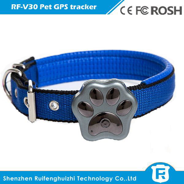 waterproof IP66 mini pet cow gps tracker with dog collar gps tracking device