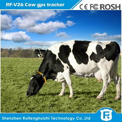 smart waterproof solar power gps tracker for cow RF-V26