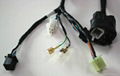 car wire harness 2