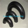 Carbon Steel  90Deg Elbow