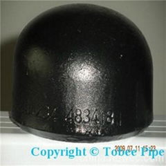 Carbon steel welded pipe end cap 