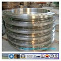 forged steel BS 3293 welding neck flanges 1