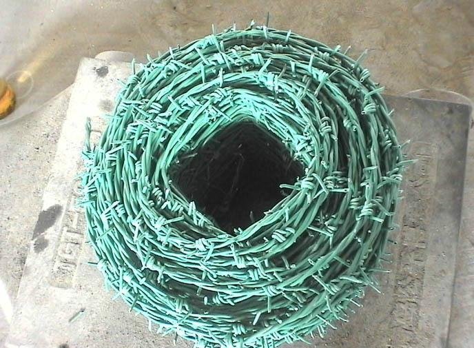 PVC刺绳 5