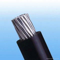 Aerial/Overhead Insulated Cable