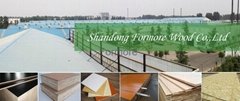 Shandong Formore Wood Co.,Ltd
