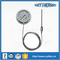 back flang ss high low temperature capillary remote reading thermometer