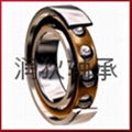 Deep groove ball bearing 1