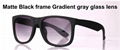 Wholesale AAAAA quality JUSTIN 4165 fashion Sunglasses glasses cheap price 3