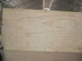 commercial plywood