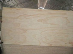 commercial plywood