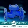 DIN standard check valve 1