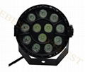 Plastic LED Par 12*1W RGBW Light