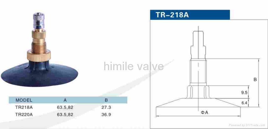 light truck&passenger car valve TR218A