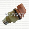 DELPHI Fuel Injector/Injection/Nozzel