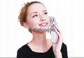 Hot sale Galvanic Clean and Moisturize Facial Beauty Tool for skin care 4