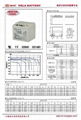 12V40AH鉛酸免維護蓄電池 2