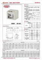 太阳能路灯专用12V40AH胶体蓄电池 2