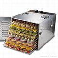 Fruit and vegetables dehydrator with 10