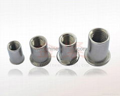 Stainless Steel Threaded Insert Rivet Nut