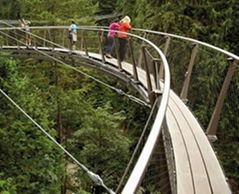 stainless steel suspension bridge