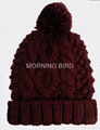 Wholesale Acrylic beanie Knitted hat  3