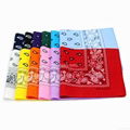 Promotional Printing Cotton Bandana