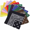 Promotional Printing Cotton Bandana  2