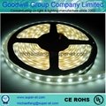 12w Outdoor cool white COB LED streetlight 2 years warranty CE ROHS certificates 4