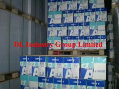 DL Industry Group Limited